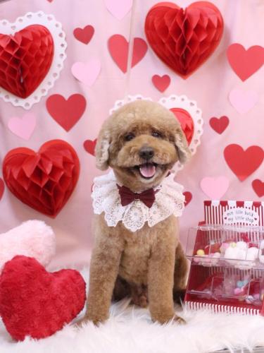 20240228ジョンくん